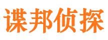 西区私家侦探公司